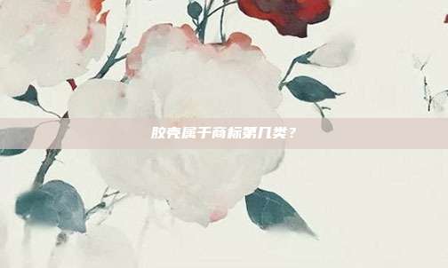 胶壳属于商标第几类？