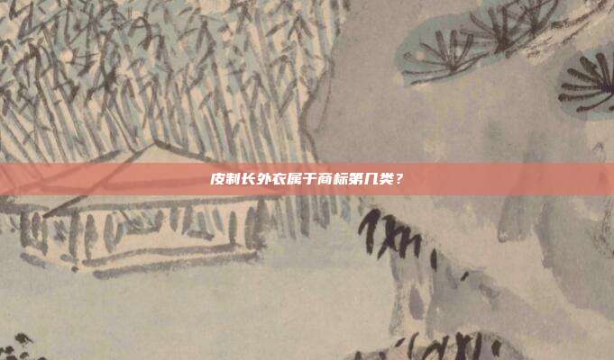 皮制长外衣属于商标第几类？