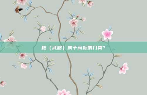 枪(武器)属于商标第几类?