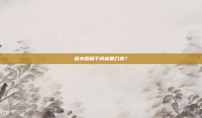 磁水器属于商标第几类？