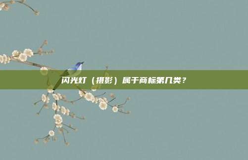 闪光灯（摄影）属于商标第几类？