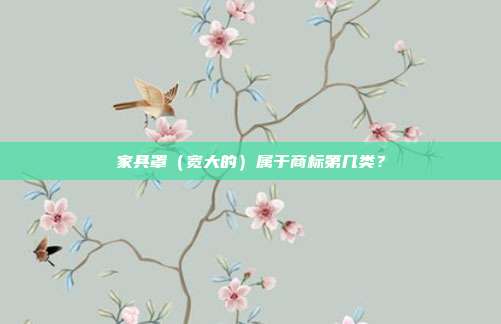 家具罩(宽大的)属于商标第几类?