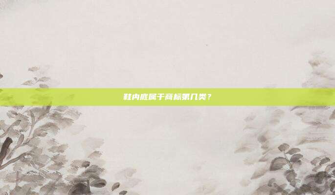 鞋内底属于商标第几类？