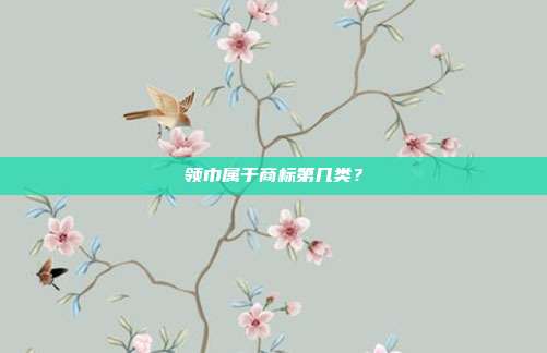 领巾属于商标第几类？
