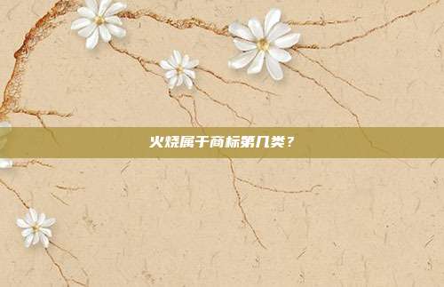 火烧属于商标第几类？