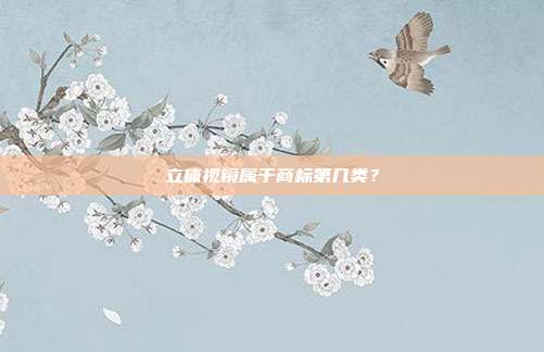 立体视镜属于商标第几类？