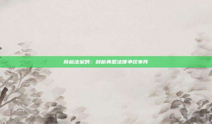 商标法案例:剖析典型法律争议事件