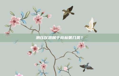 测压仪器属于商标第几类？