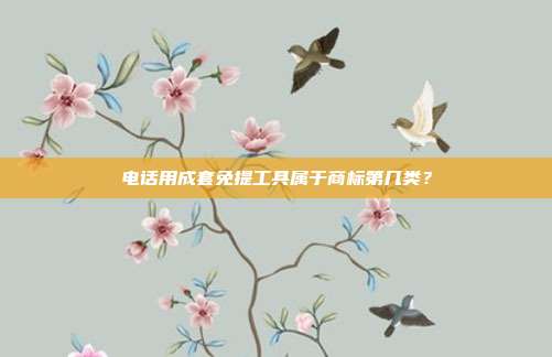 电话用成套免提工具属于商标第几类？