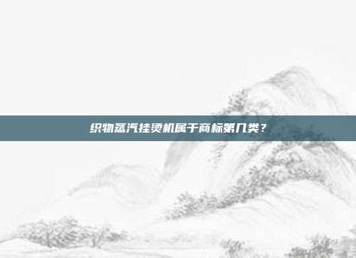 织物蒸汽挂烫机属于商标第几类？