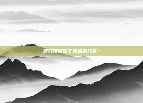 保释担保属于商标第几类？