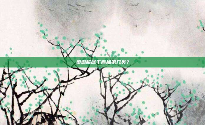 柔道服属于商标第几类?