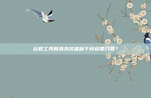 运载工具用清洗装置属于商标第几类?