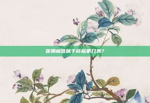 医用棉签属于商标第几类?
