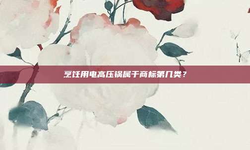 烹饪用电高压锅属于商标第几类？