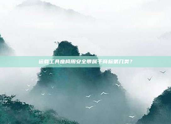 运载工具座椅用安全带属于商标第几类？