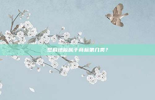 塑料地板属于商标第几类？