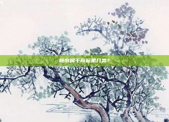 帐帘属于商标第几类?