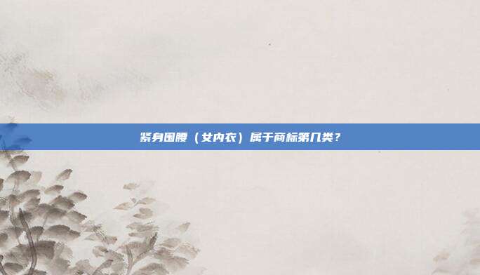 紧身围腰（女内衣）属于商标第几类？
