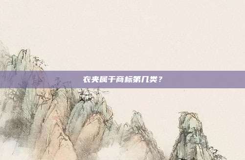衣夹属于商标第几类？