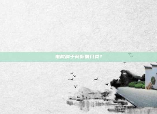电梳属于商标第几类?