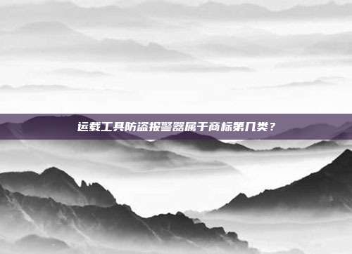 运载工具防盗报警器属于商标第几类?