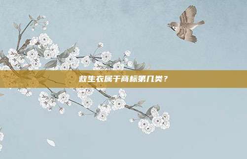 救生衣属于商标第几类?