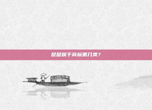 琵琶属于商标第几类?
