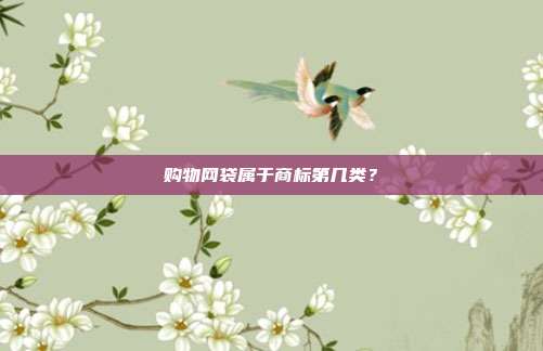 购物网袋属于商标第几类？