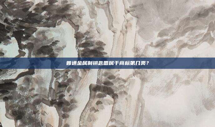 普通金属制钥匙圈属于商标第几类？