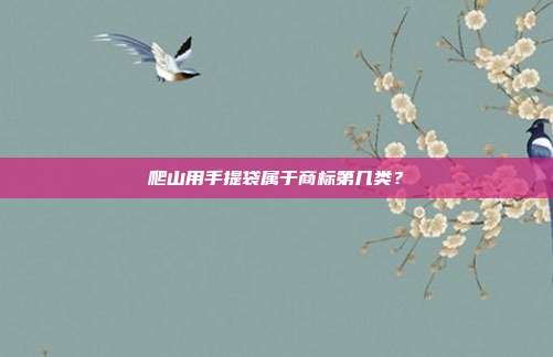 爬山用手提袋属于商标第几类？