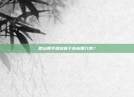爬山用手提袋属于商标第几类？