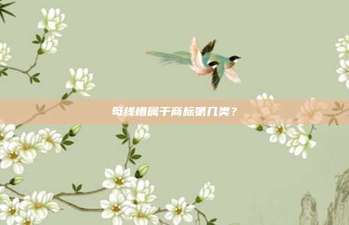 母线槽属于商标第几类？
