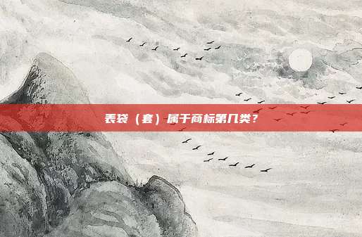 表袋（套）属于商标第几类？