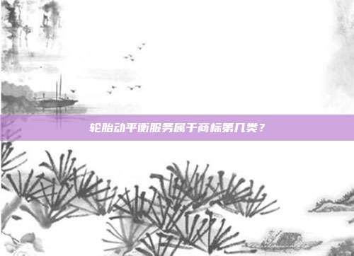 轮胎动平衡服务属于商标第几类？
