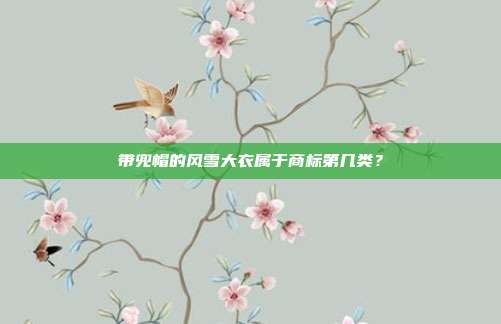 带兜帽的风雪大衣属于商标第几类？