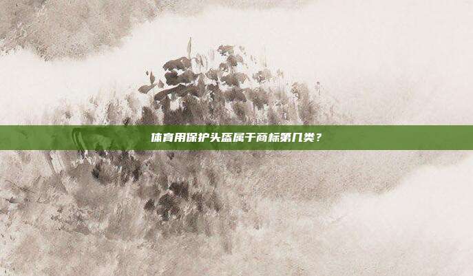 体育用保护头盔属于商标第几类?