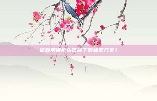 体育用保护头盔属于商标第几类?