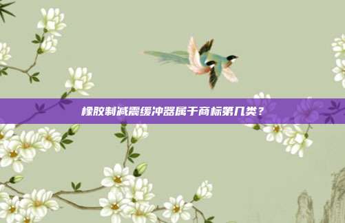 橡胶制减震缓冲器属于商标第几类?