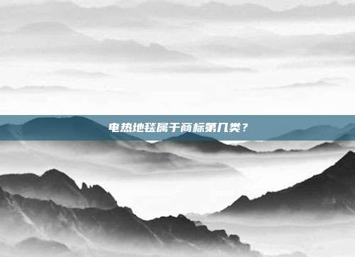 电热地毯属于商标第几类？