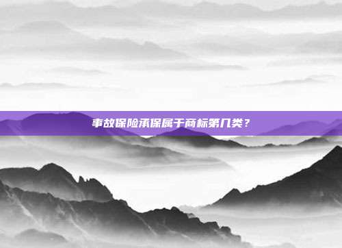 事故保险承保属于商标第几类?