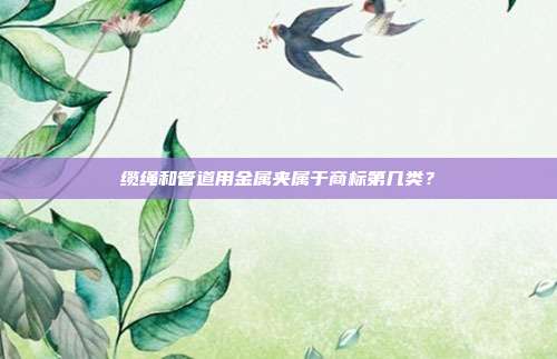 缆绳和管道用金属夹属于商标第几类?