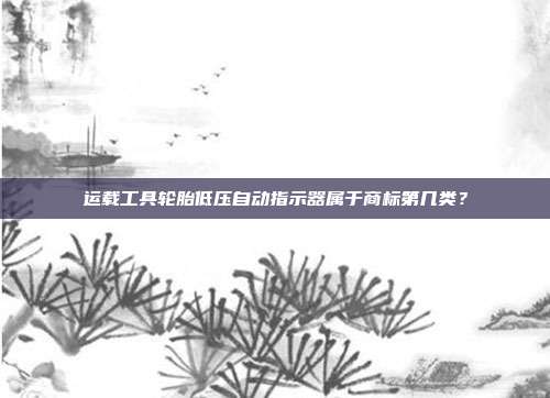 运载工具轮胎低压自动指示器属于商标第几类？