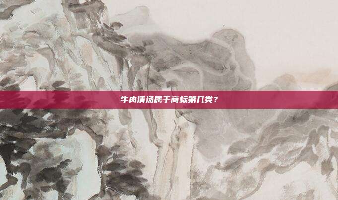 牛肉清汤属于商标第几类？