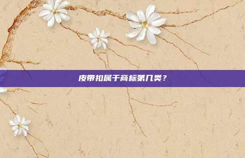 皮带扣属于商标第几类？