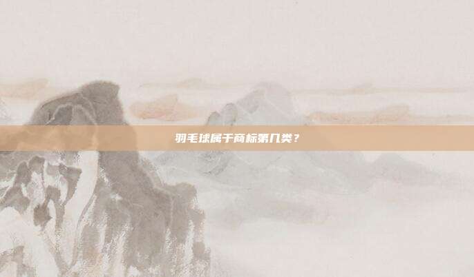 羽毛球属于商标第几类？