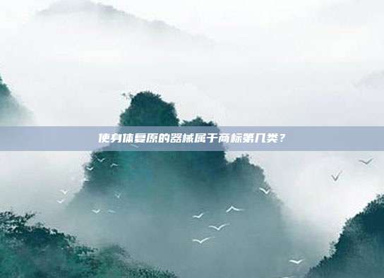 使身体复原的器械属于商标第几类？