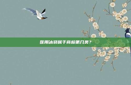 医用冰袋属于商标第几类？