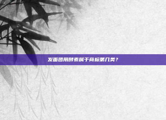 发面团用酵素属于商标第几类？