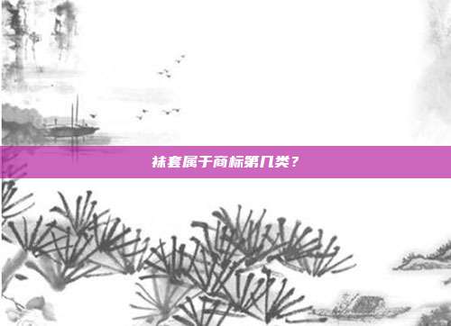 袜套属于商标第几类？